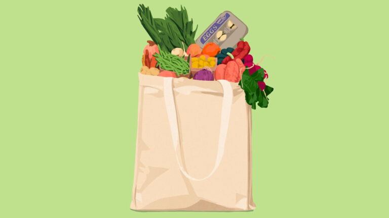 Illustration of grocery bag