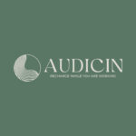 Audicin logo