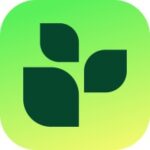 Lifesum logo