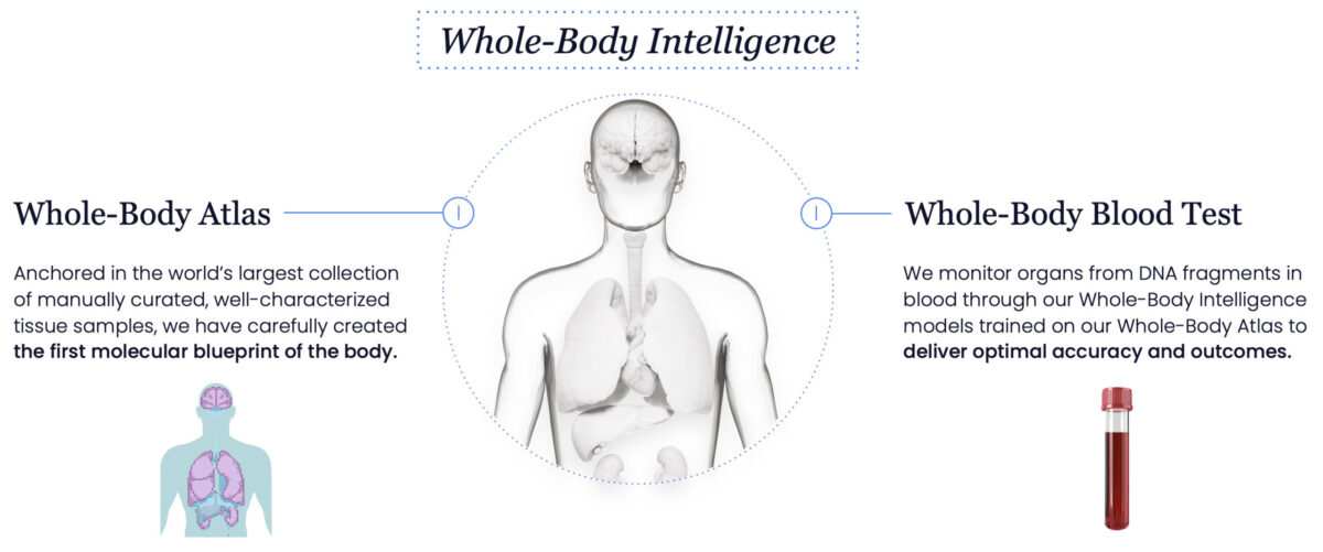 Whole-Body Intelligence overview
