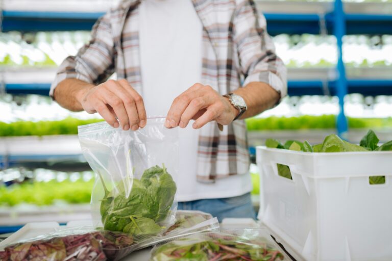 A man packaging lettuce in plastic bags