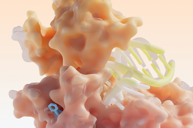 3D molecular model