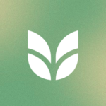 Ruta Health logo