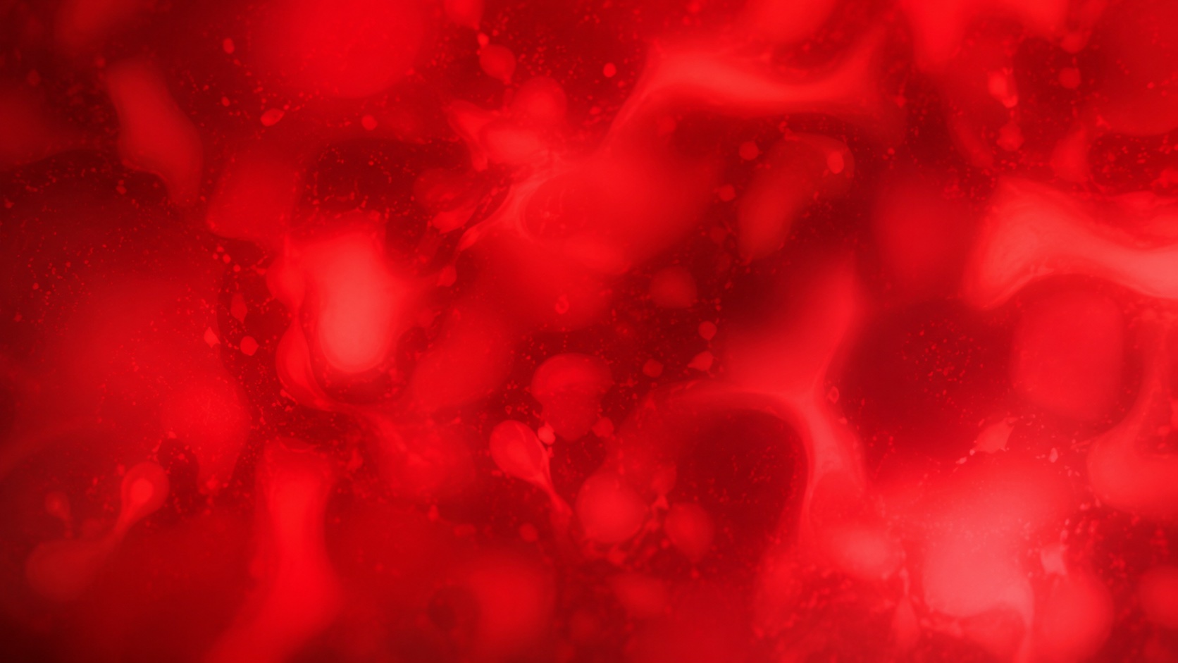 Blood Analysis image