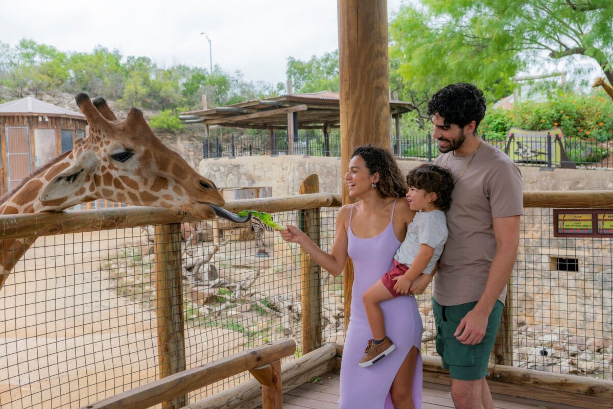 San Antonio Zoo