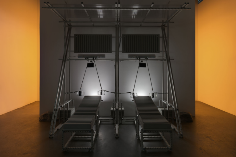 ANIMAL [a listening gym] installation