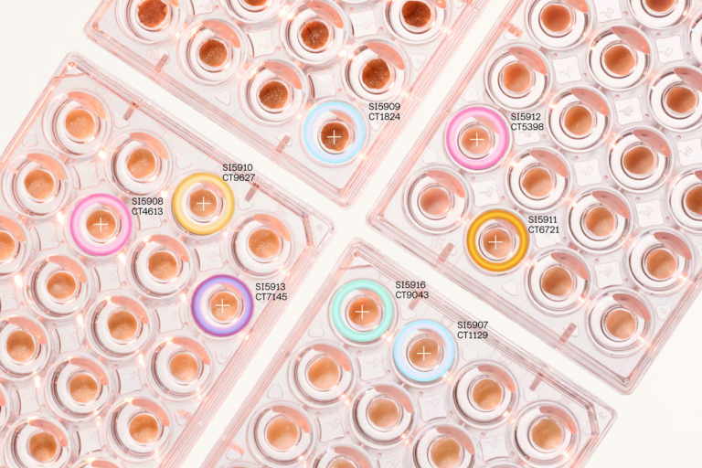 Skin cells