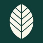 Mateína logo