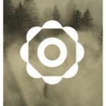 Ciridian logo